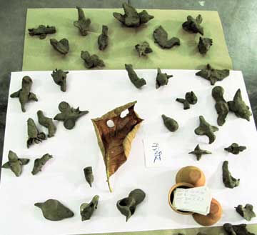 Clay-birds-made-by-children
