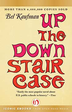 up-the-down-staircase
