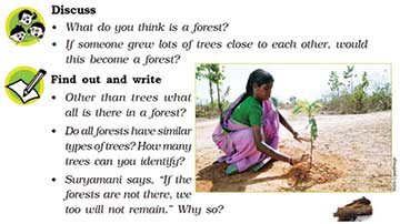 From NCERT textbook, Class V, EVS, pg. 183
