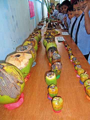 exhibition-on-Coconut